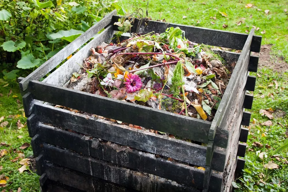 Disponibilità compostiere per rifiuti organici